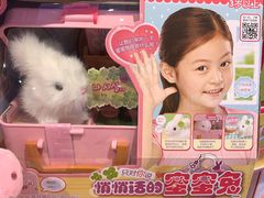 -TOYSRUS玩具反斗城(深圳布吉万象汇店)