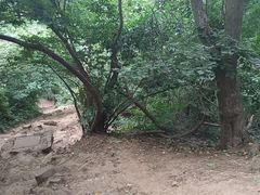 -大蜀山国家森林公园