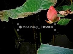 -荔湾湖公园
