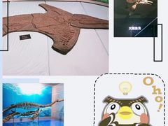 -自贡恐龙博物馆