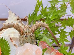 -渔日本料理铁板烧(新天地假日广场店)