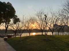 -圩墩遗址公园