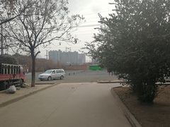 -西北武术院