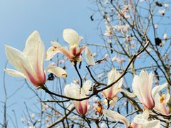 -广富林郊野公园