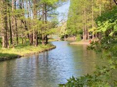 -上海共青森林公园