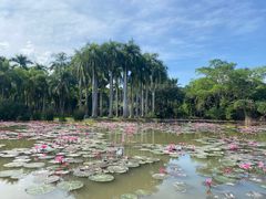 -中国科学院西双版纳热带植物园