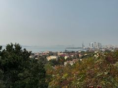 -信号山公园