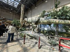 -国家自然博物馆