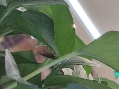-鹏欣水游城