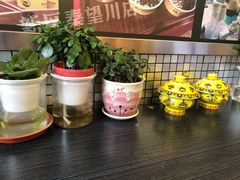 -老牟家牦牛酸奶