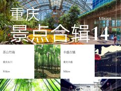 -南山植物园