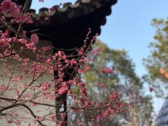 -艺圃