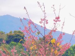 -双龙潭生态运动景区