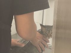 -comecome来吧宠物(奥克斯中心店)