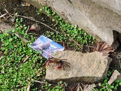 -洋山深水港观景平台