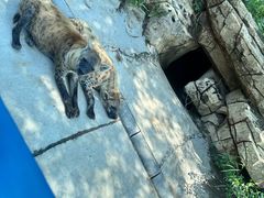 -北京野生动物园