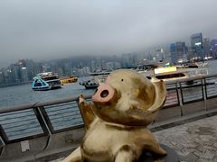 -星光大道