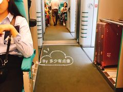 -龙阳路磁悬浮列车总站-停车场