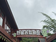 -野象谷景区