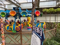 -南宫五洲植物乐园