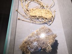 -徐汇艺术馆
