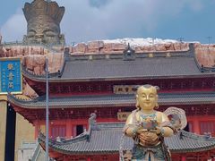 -上海东林寺(金山区)