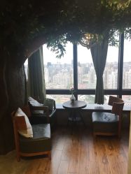 -V-STAR威斯达•高级私人定制