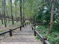 -洪泽湖古堰景区