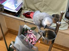 -森野花艺培训·企业团建活动沙龙