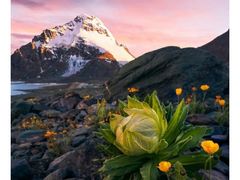 -香港麦道(博奥店)