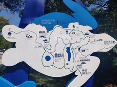 -广东惠东海龟国家级自然保护区