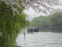 -运河游船(武林门码头)