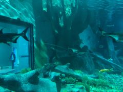 -福州罗源湾海洋世界旅游区