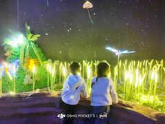 -福州罗源湾海洋世界旅游区
