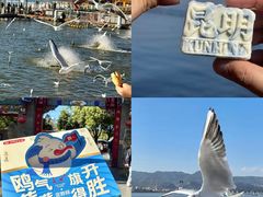 -昆明冠生园·蛋糕·面包(南强街店)