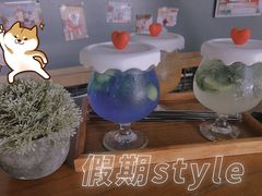 -柴犬高等学院·狗咖·柴犬售卖·宠物训练