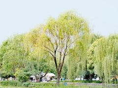-石湖景区