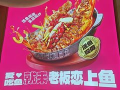 -老板恋上鱼(恒隆广场店)