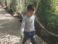 -渔岛海洋度假区