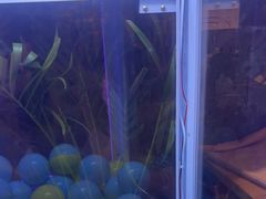 -林辉家宴·本地家常菜·头牌清远鸡(先锋店)