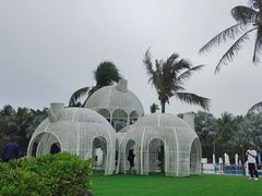-三亚海棠湾喜来登度假酒店