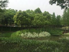 -尚贤河湿地