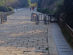 -伯先公园