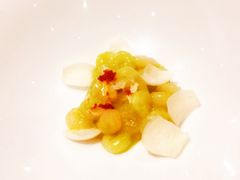 -诺莱仕游艇会