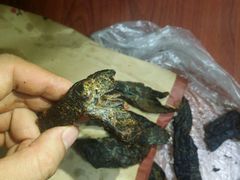-都士牧人现烤牛肉干