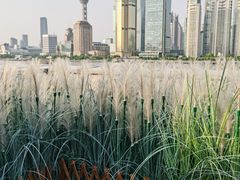 -RIVIERA 松鹤楼(外滩店)