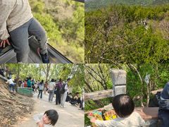 -紫金山山顶公园