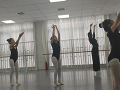 -西安小天鹅艺术团(金花路校区)