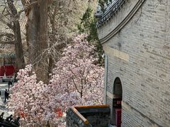 -潭柘寺景区