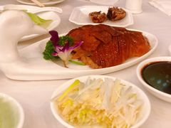 -九花山烤鸭店